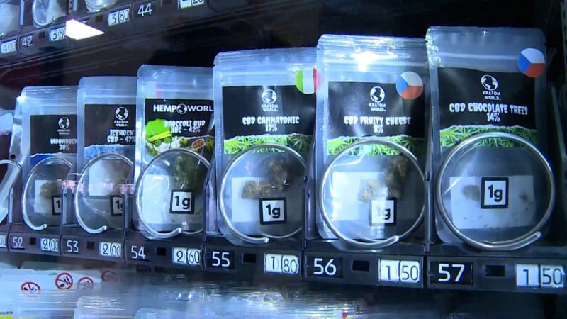 Kratom už nebude volně dostupný dětem. Prodávat ho budou jen speciální obchody