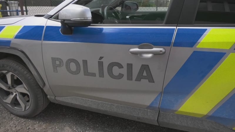 Záhadná smrt Pavlíny: Zmizela po cestě do školky, dcera chce po 15 letech zjistit pravdu