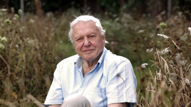 Před 100 lety se narodil „hlas přírody“ David Attenborough. Popřát mu můžete i vy