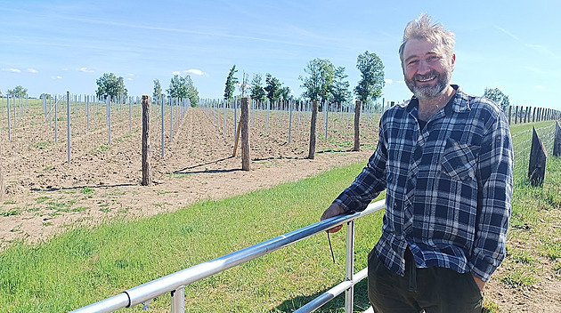 Záchranář mění pastviny na vinohrad. Sází tisíce keřů a cílí na vlastní burčák