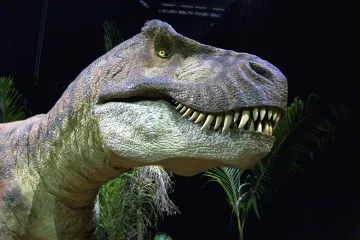 Tyranosauři měli v podstatě stejnou tělesnou teplotu, jako lidé