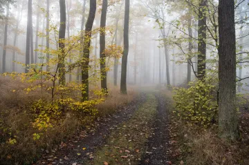 O víkendu se v Česku ochladí, na horách může sněžit